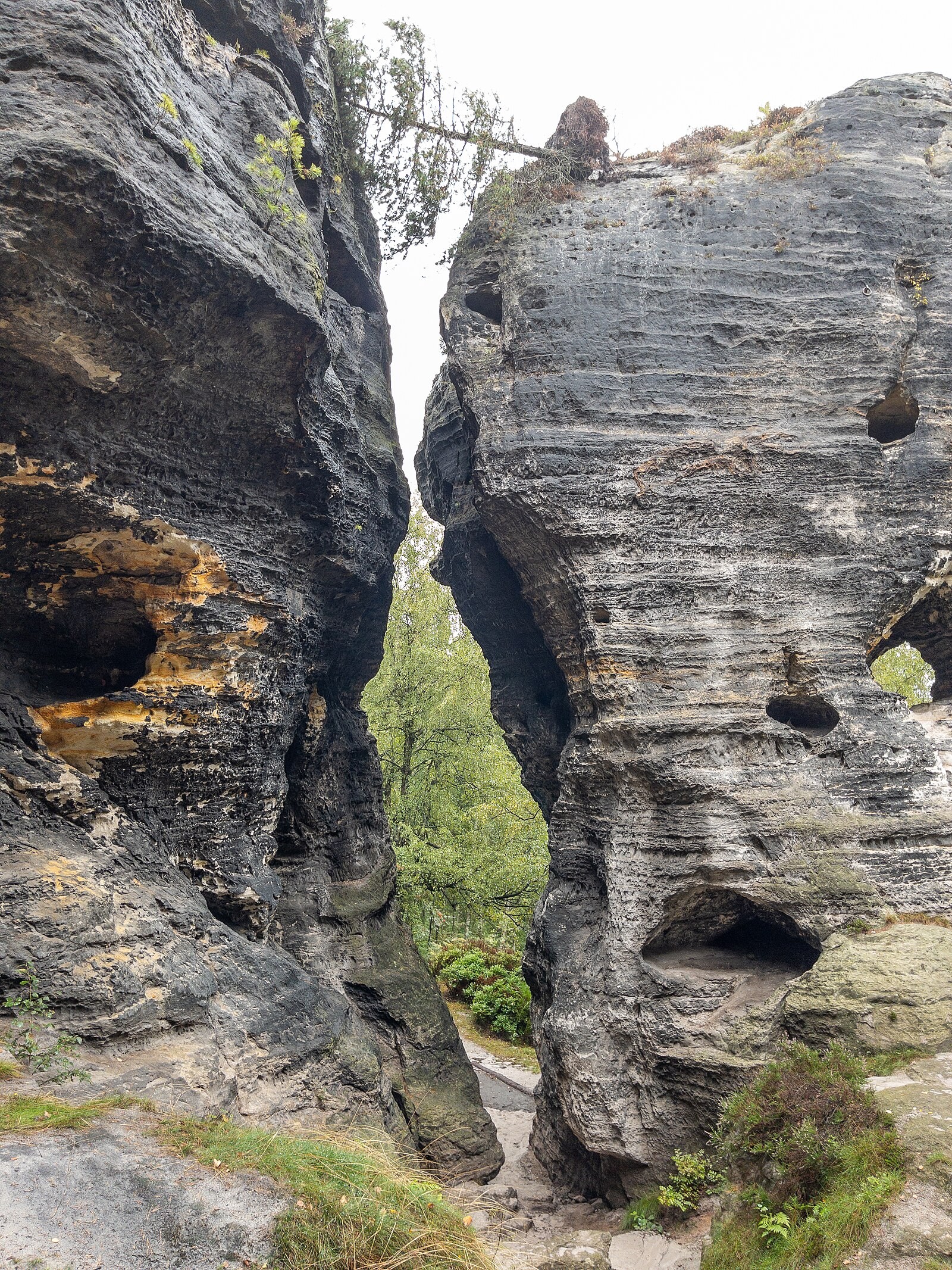 Dramatic sandstone formations rising above forest in Bohemian Switzerland.