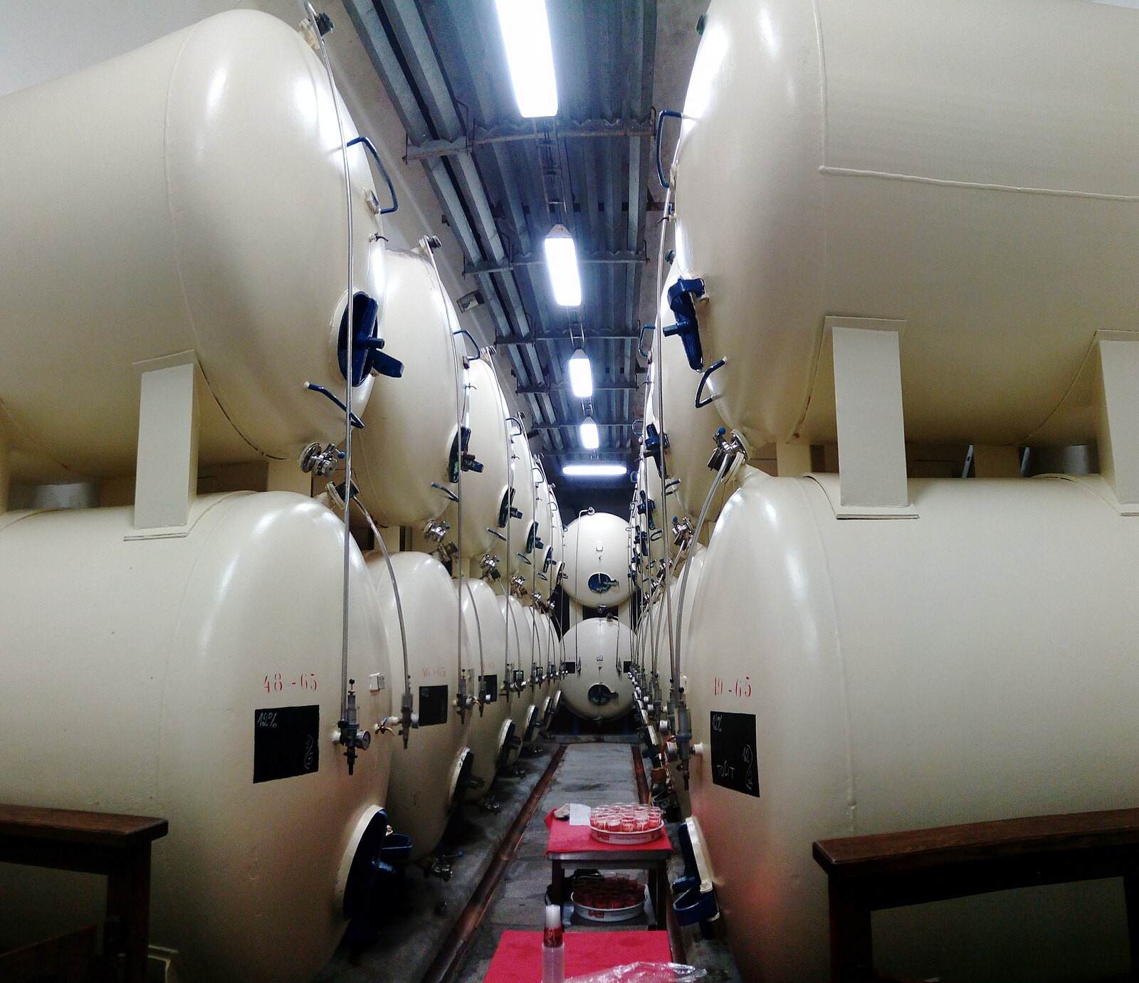 Large beer storage/processing tanks at Budweiser Budvar brewery.