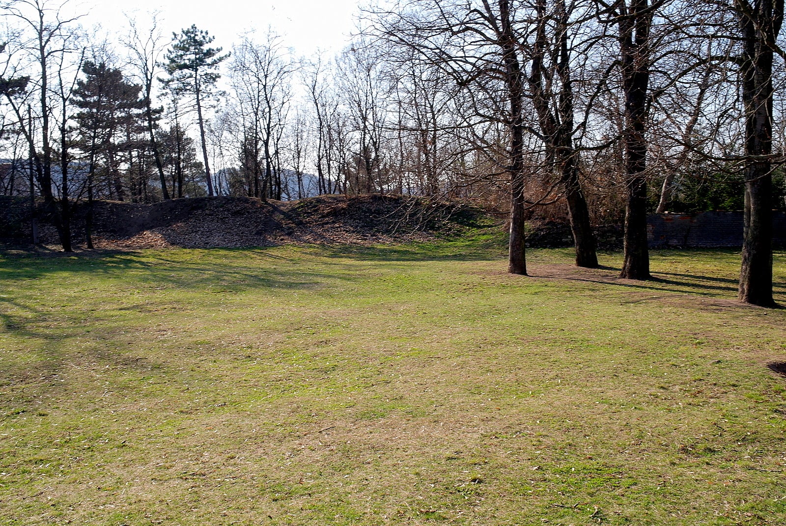 Surviving earthwork/fortification remains of the Levý Hradec stronghold.