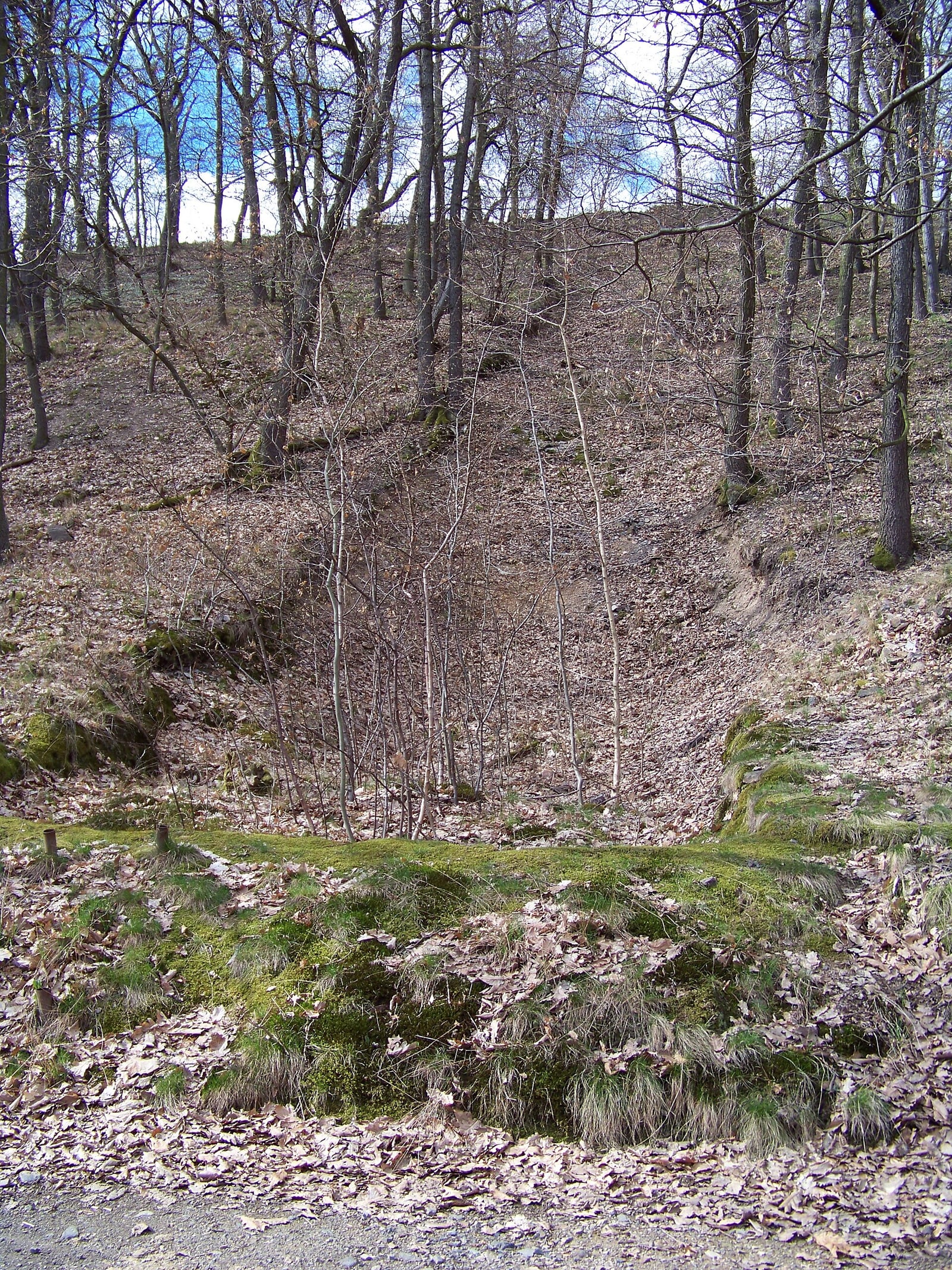 Archaeological terrain at the former gate area on the southern slope below Závist’s acropolis.
