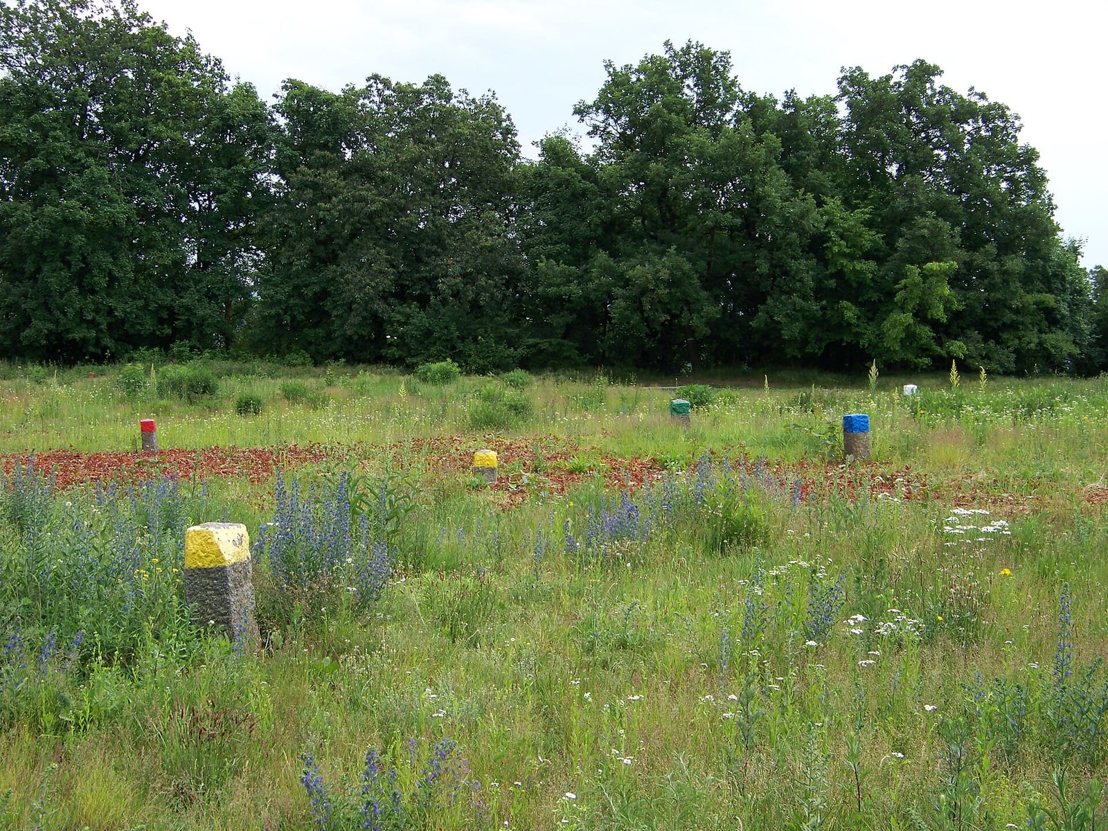 Acropolis area of the Závist archaeological site.