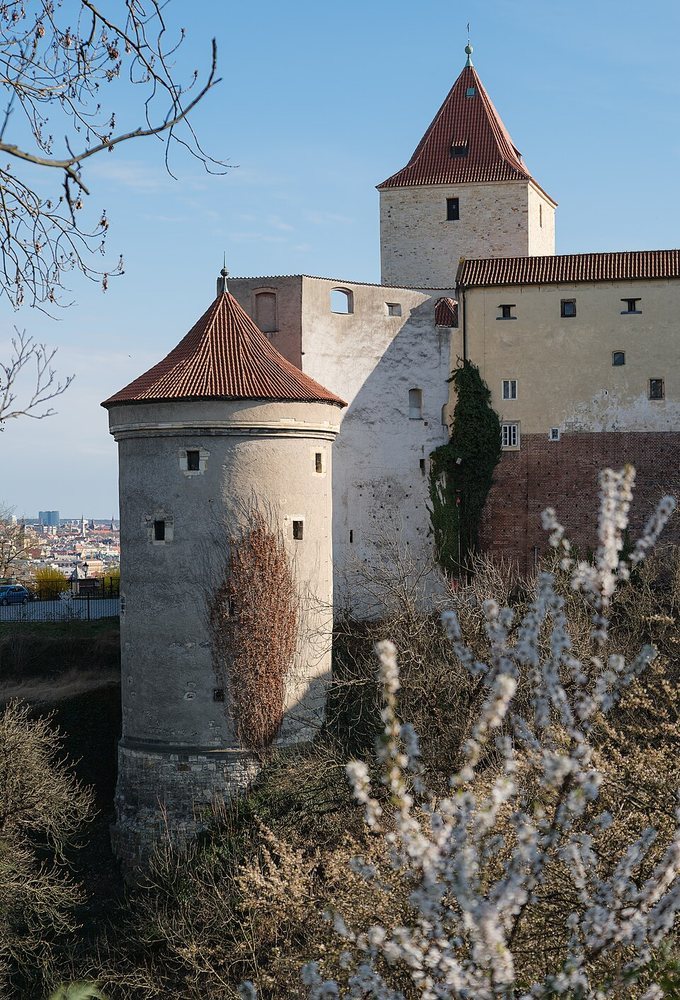 Dalibor Could Not Have Played the Violin in His Prison Tower