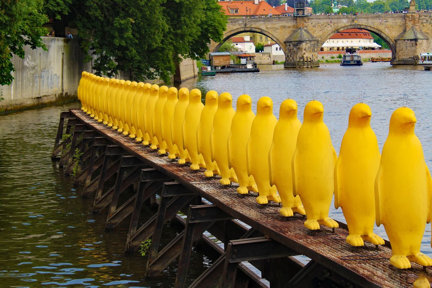 Yellow penguin installation sits by the Vltava with central Prague river/bridge context behind.